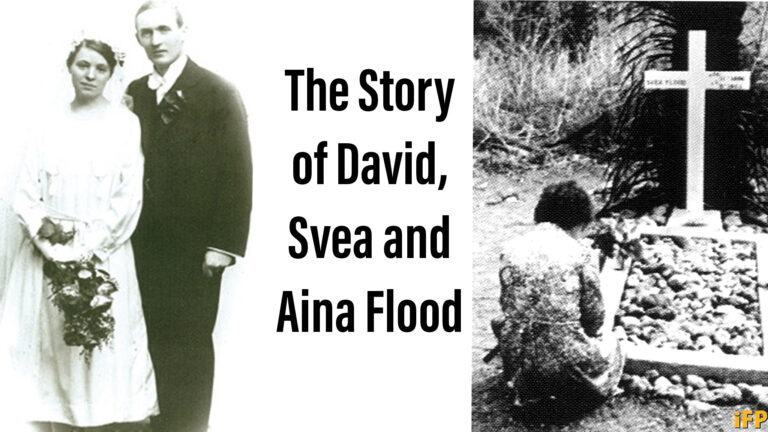 9C404809 0711 4542 95E9 C62DBC41E8C6 768x432