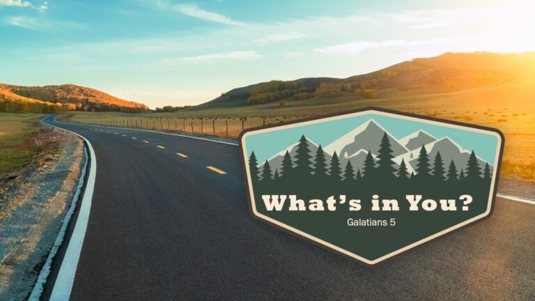 What is in you BCBC 768x432